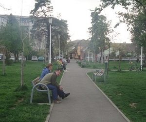 Întreținerea Parcurilor din Oradea, concesionată pe trei ani