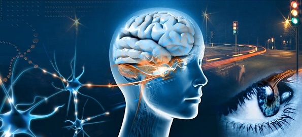 Vă considerați inteligenți? Mensa organizează o nouă sesiune de teste la Universitatea din Oradea