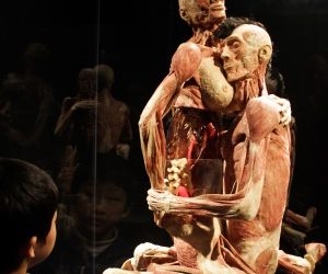 Drept la replică. Despre Expoziţia „Our Body: Universul interior”!